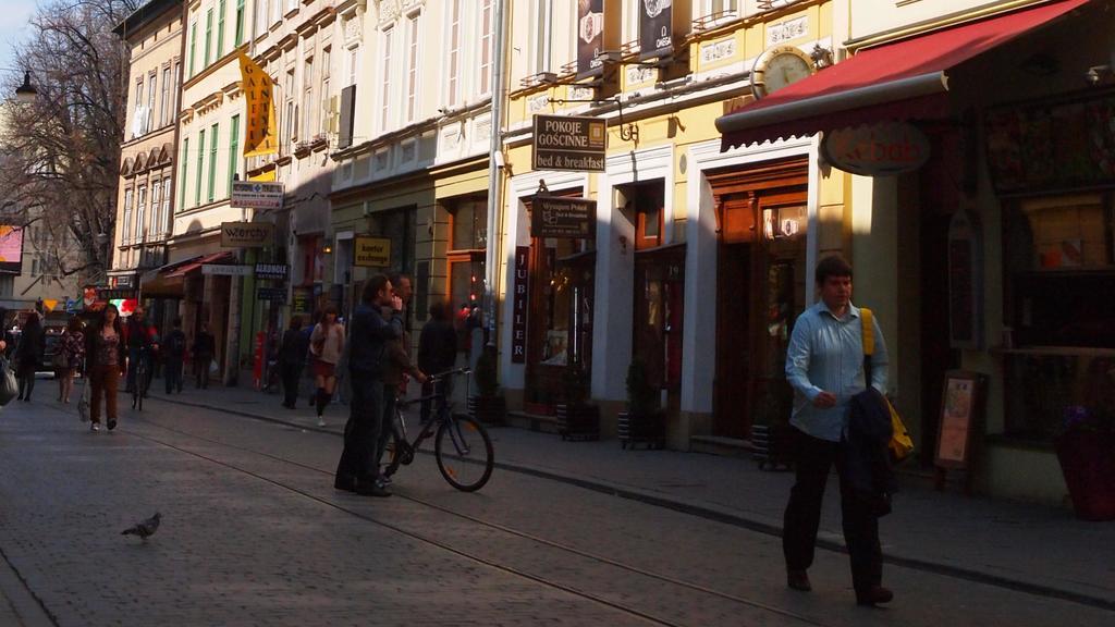 Golden Lion Guest Szewska 19 Апарт-готель Краків